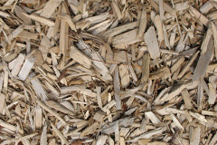 biomass boilers Eanacleit